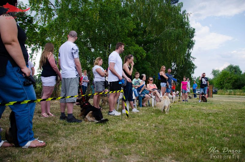 wkaliszu.pl - Kalisz on-line, IMPREZA. Pokaz szkolenia psów w Red Dog, zdjęcie 3