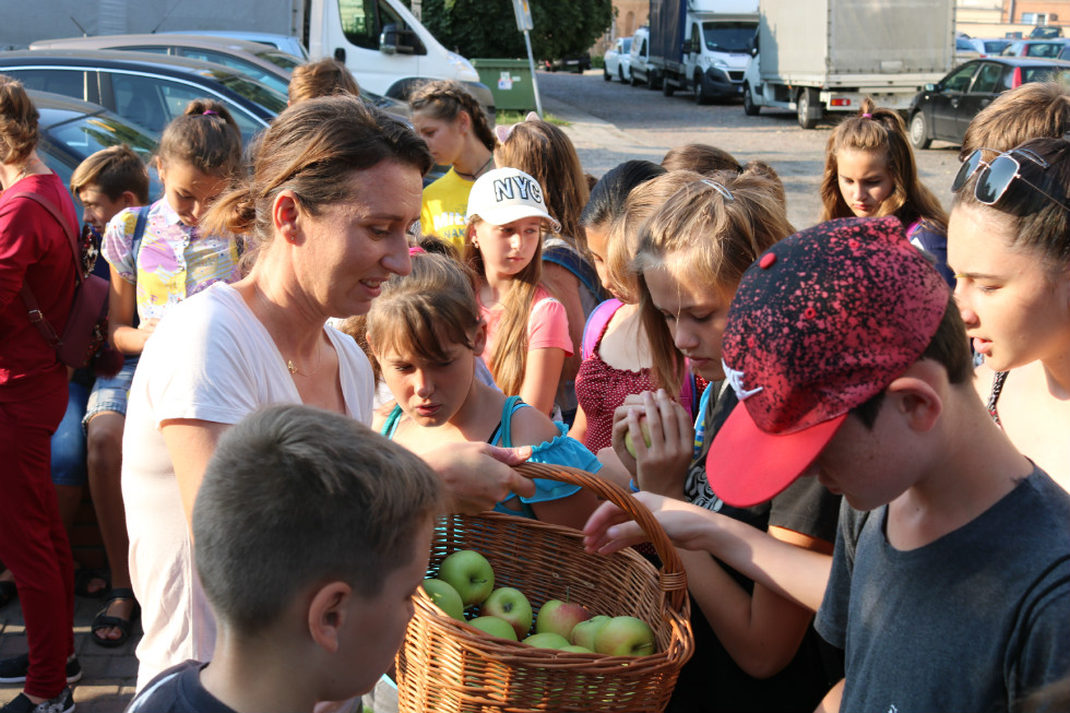 wkaliszu.pl - Kalisz on-line, AKCJA. Zdrowe jabłka dla dzieci, zdjęcie 4