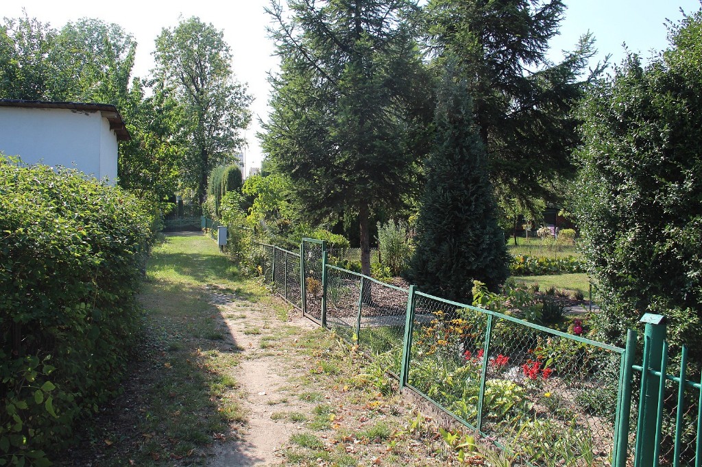 wkaliszu.pl - Kalisz on-line, JUBILEUSZ. 85 lat ogrodów działkowych im. Mickiewicza, zdjęcie 6