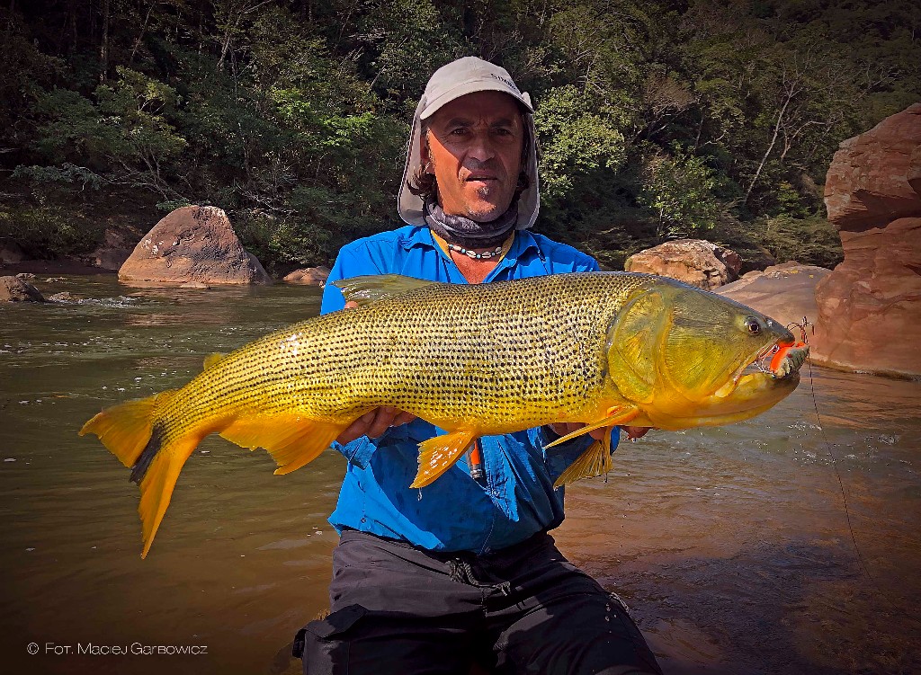 wkaliszu.pl - Kalisz on-line, PASJE. Golden Dorado z boliwijskich rzek, zdjęcie 9