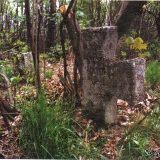Cmentarz ukraiński w Szczypiornie, zdjęcie 1, wkaliszu.pl - Kalisz on-line, zdjęcie 316x316