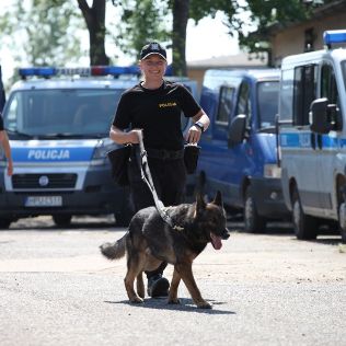 POLICJA. Sierżant Patrycja i Logan pojadą na mistrzostwa Polski, zdjęcie 2, wkaliszu.pl - Kalisz on-line, zdjęcie 316x316