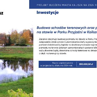 SAMORZĄD. Jest projekt budżetu Miasta (WIZUALIZACJA), zdjęcie 8, wkaliszu.pl - Kalisz on-line, zdjęcie 316x316