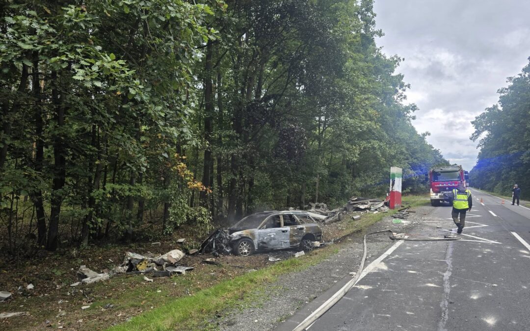 WYPADEK. Auto w płomieniach. Nie żyje kierowca