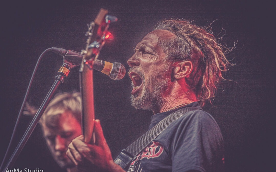 11.4. GA-GA Zielone Żabki w Kaliszu!