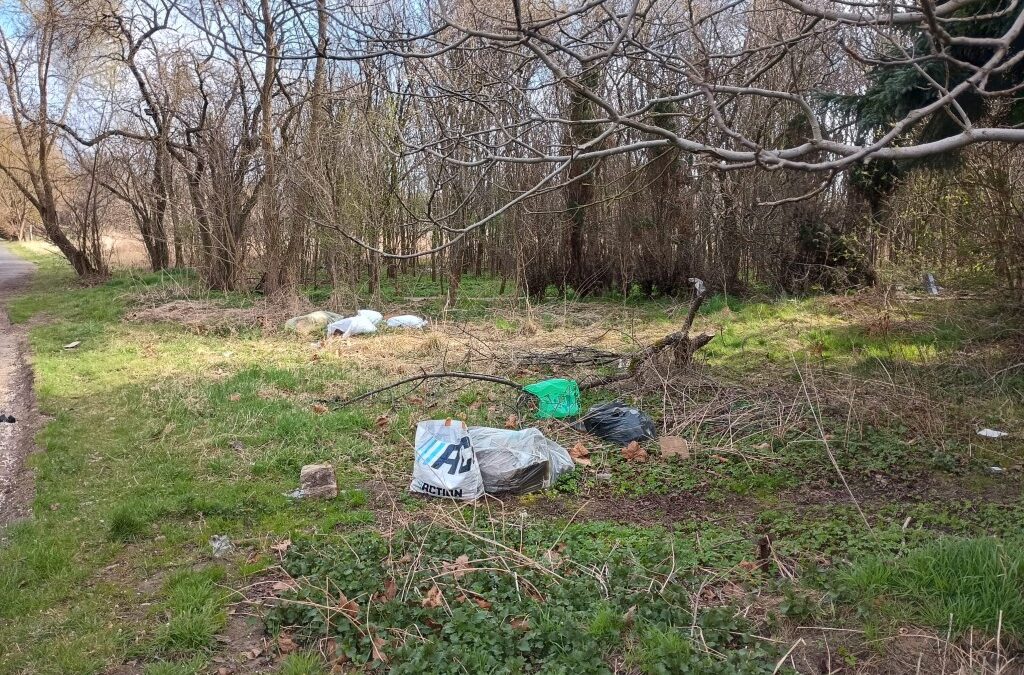 MIASTO. Wyrzucił śmieci w Parku Paderewskiego. Namierzyła go Straż Miejska