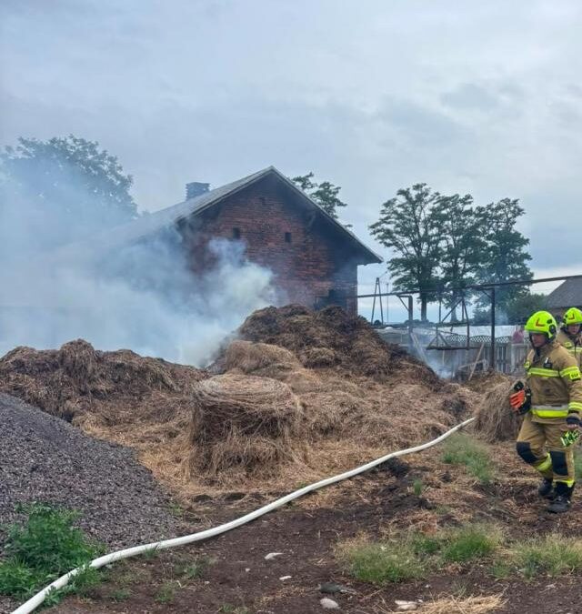 STRAŻ. Pożar słomy i obornika pod Kaliszem